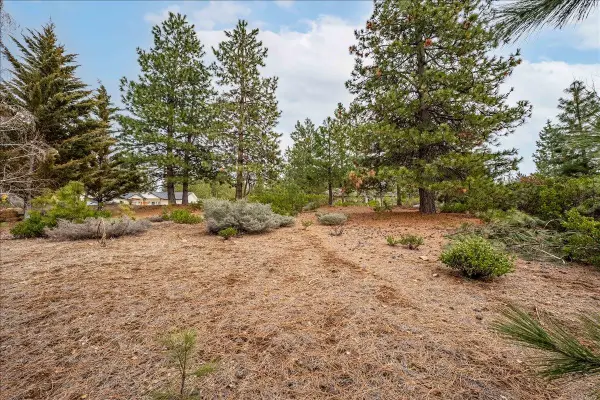 Unit 2 Lot 6 Siskiyou Lake Blvd, Mt Shasta, CA 96067