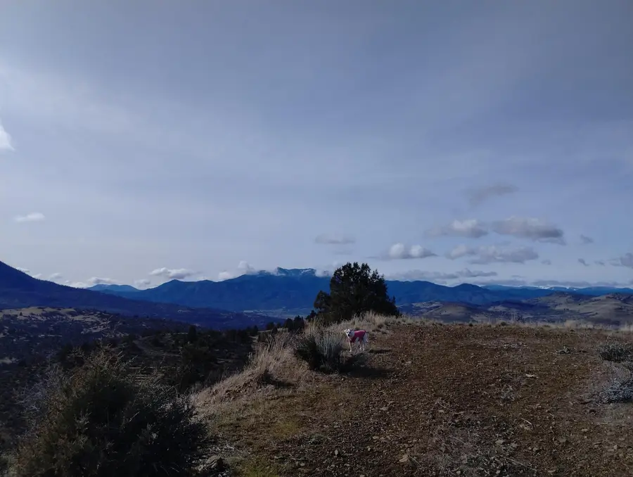 APN ONLY 104-160-130-000, Hornbrook, CA 96044 - #3