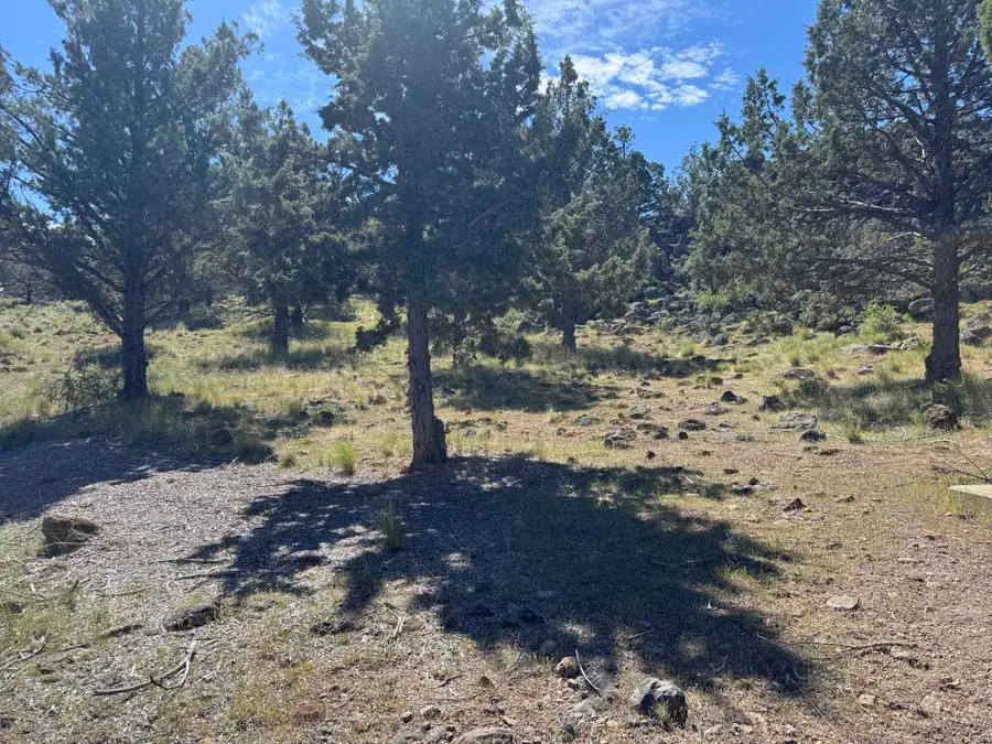 Unt 9-2 Lot 268 Golden Hill Dr, Weed, CA 96094 - #3