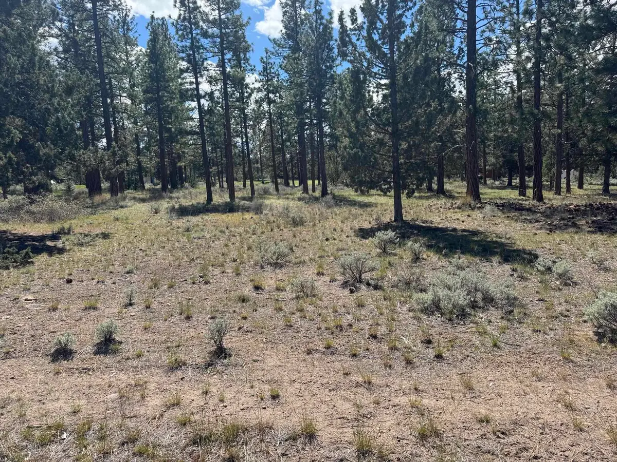 Unt 5-3 Lot 187 Hogan Dr, Weed, CA 96094 - #1