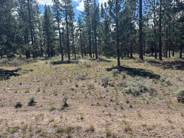 Unt 5-3 Lot 187 Hogan Dr, Weed, CA 96094