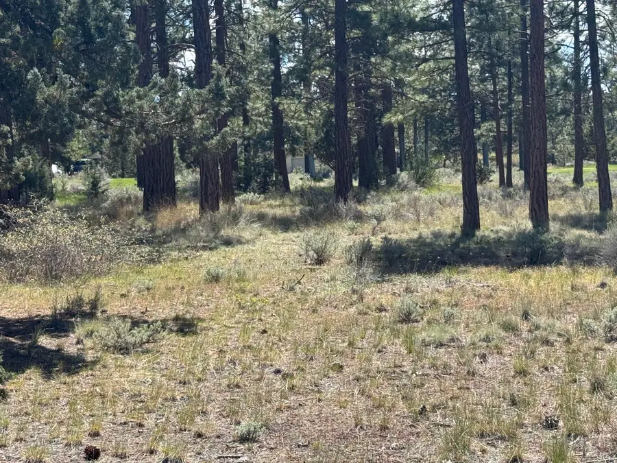 Unt 5-3 Lot 187 Hogan Dr, Weed, CA 96094 - #3