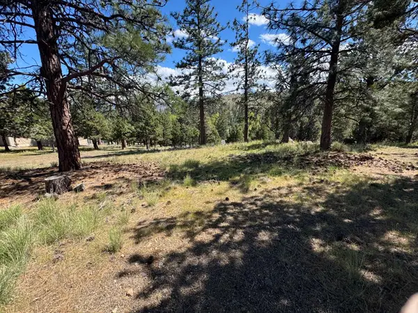 Unt 5-2 Lot 151 Hill Drive, Weed, CA 96094