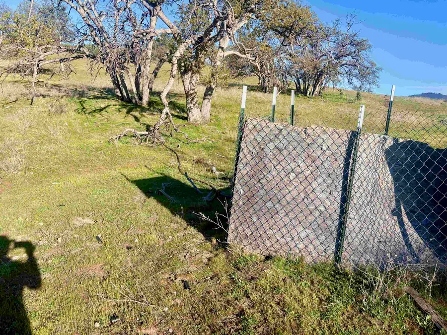 XXX Yellow Dog Trail, Hornbrook, CA 96044 - #2