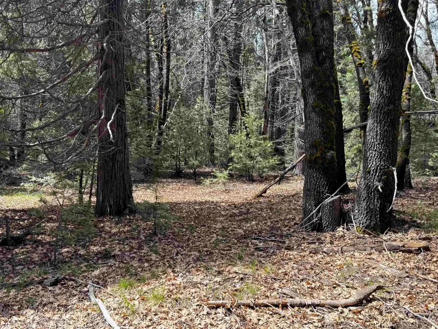 Blk D, L-21 U-1 Crater Way, McCloud, CA 96057 - #3