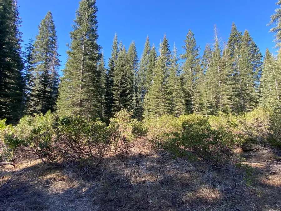 4-L-6 Winding Way, McCloud, CA 96057 - #2