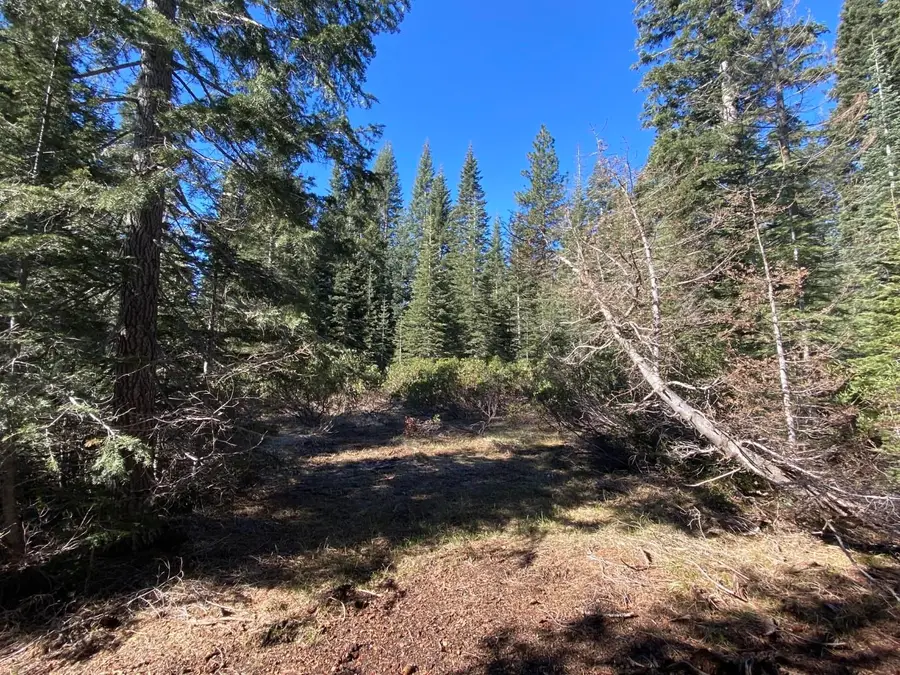 4-L-6 Winding Way, McCloud, CA 96057 - #3