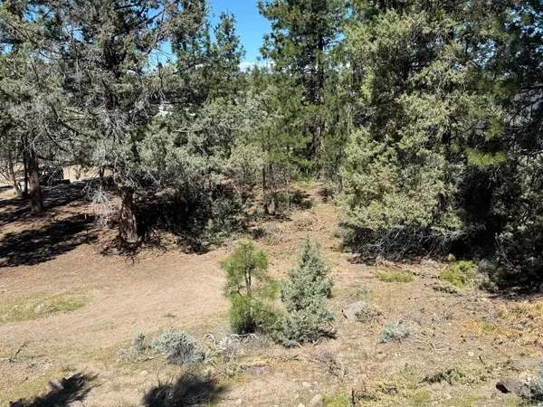 Unit 4 Lot 213 Rainbow Dr, Weed, CA 96094