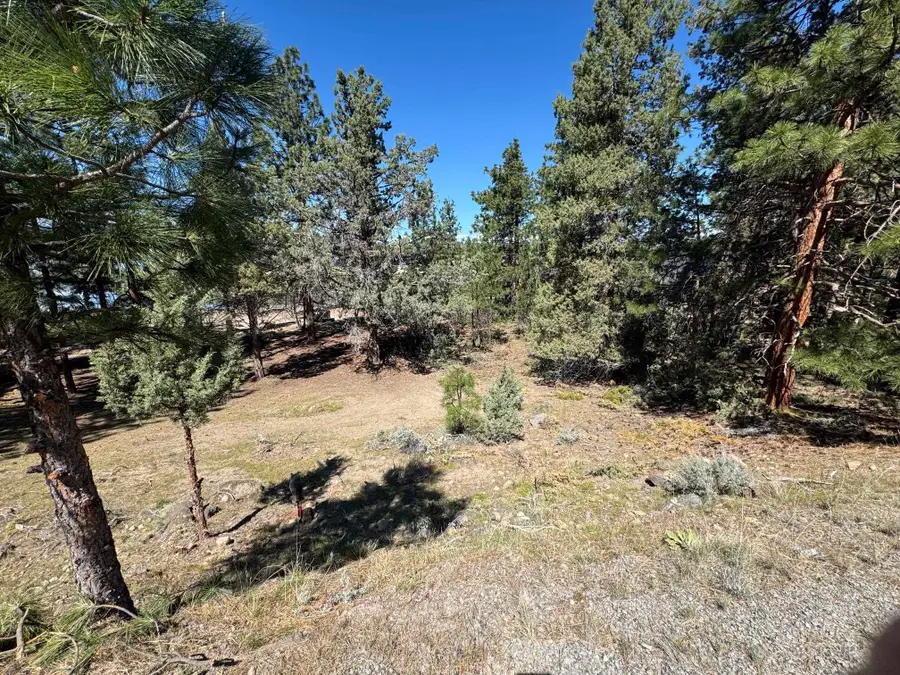 Unit 4 Lot 213 Rainbow Dr, Weed, CA 96094 - #2