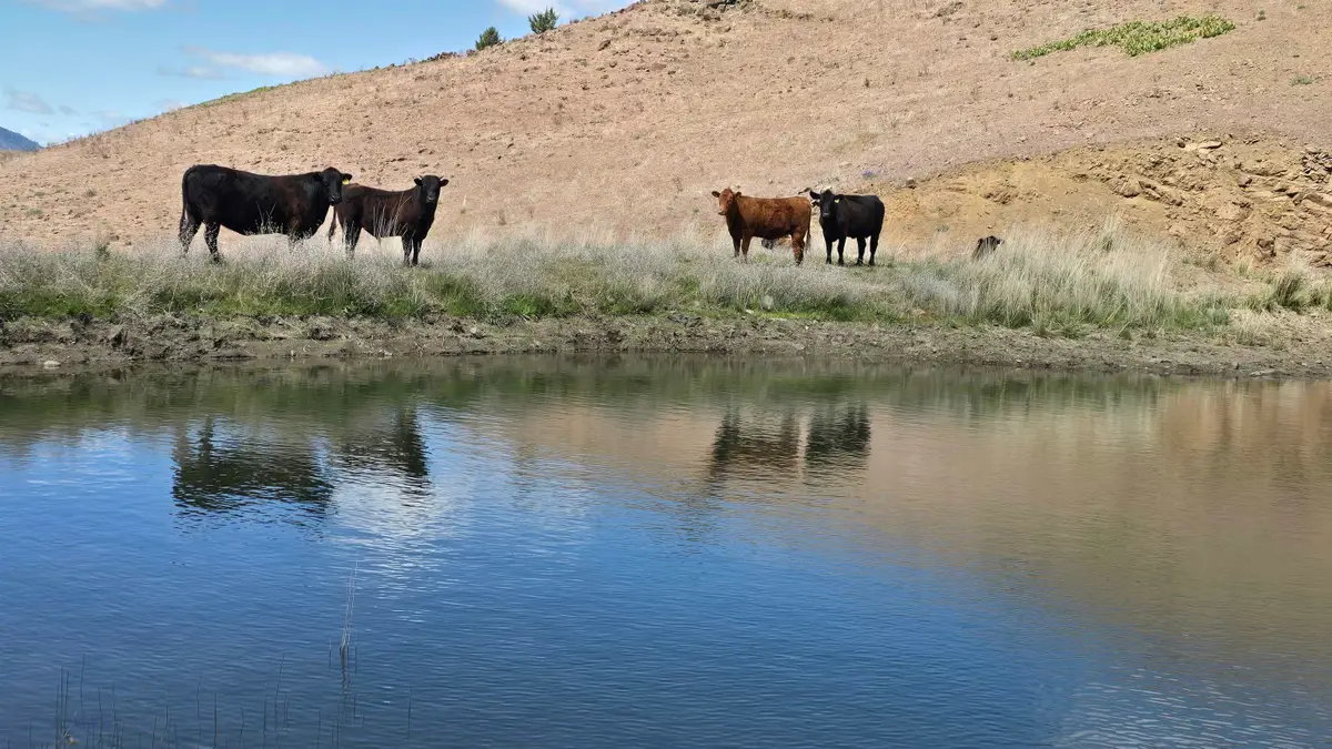 XOX Townsend Rd, Montague, CA 96034 - #1