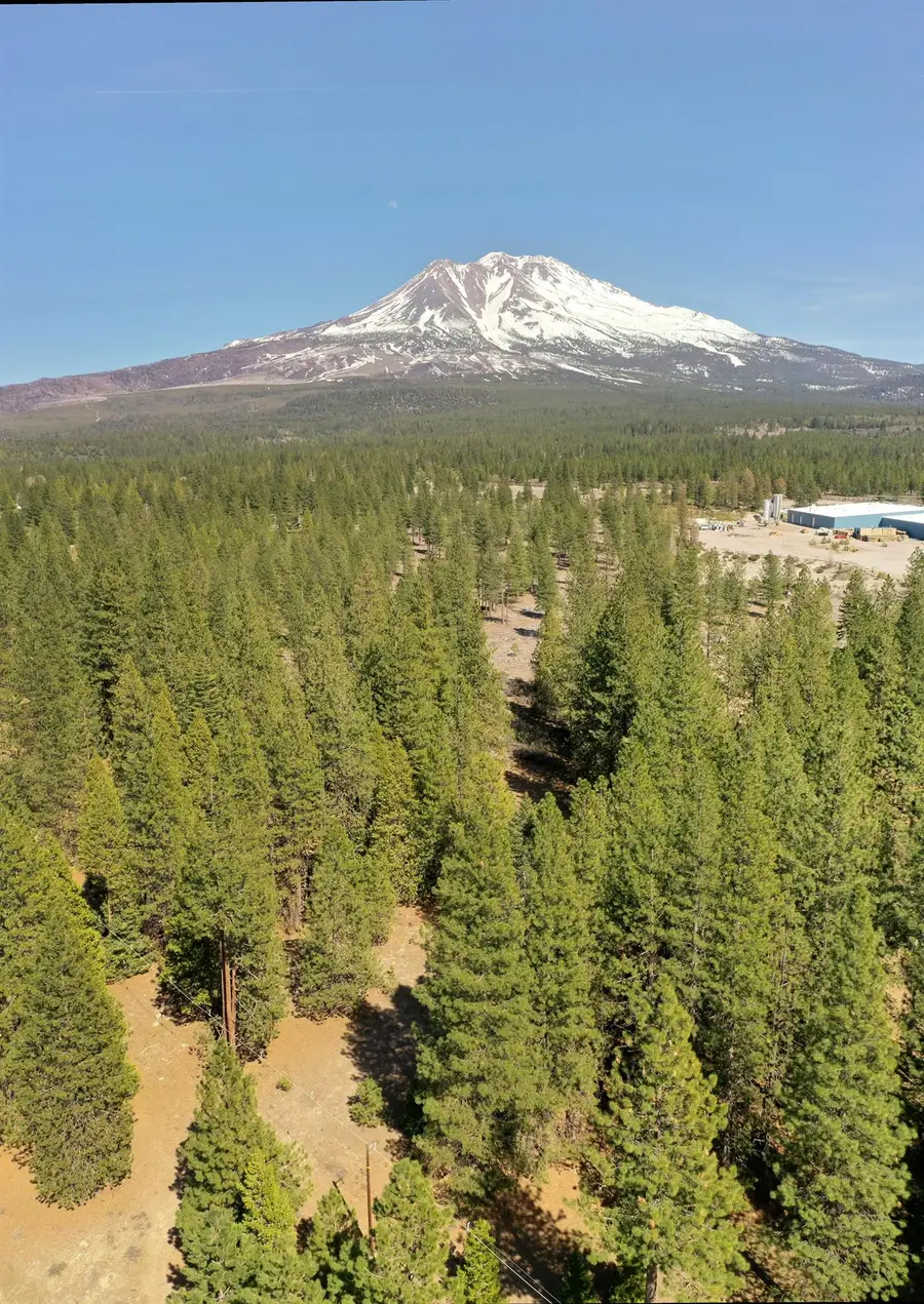 021-170-370 Alves Dr, Weed, CA 96094 - #2