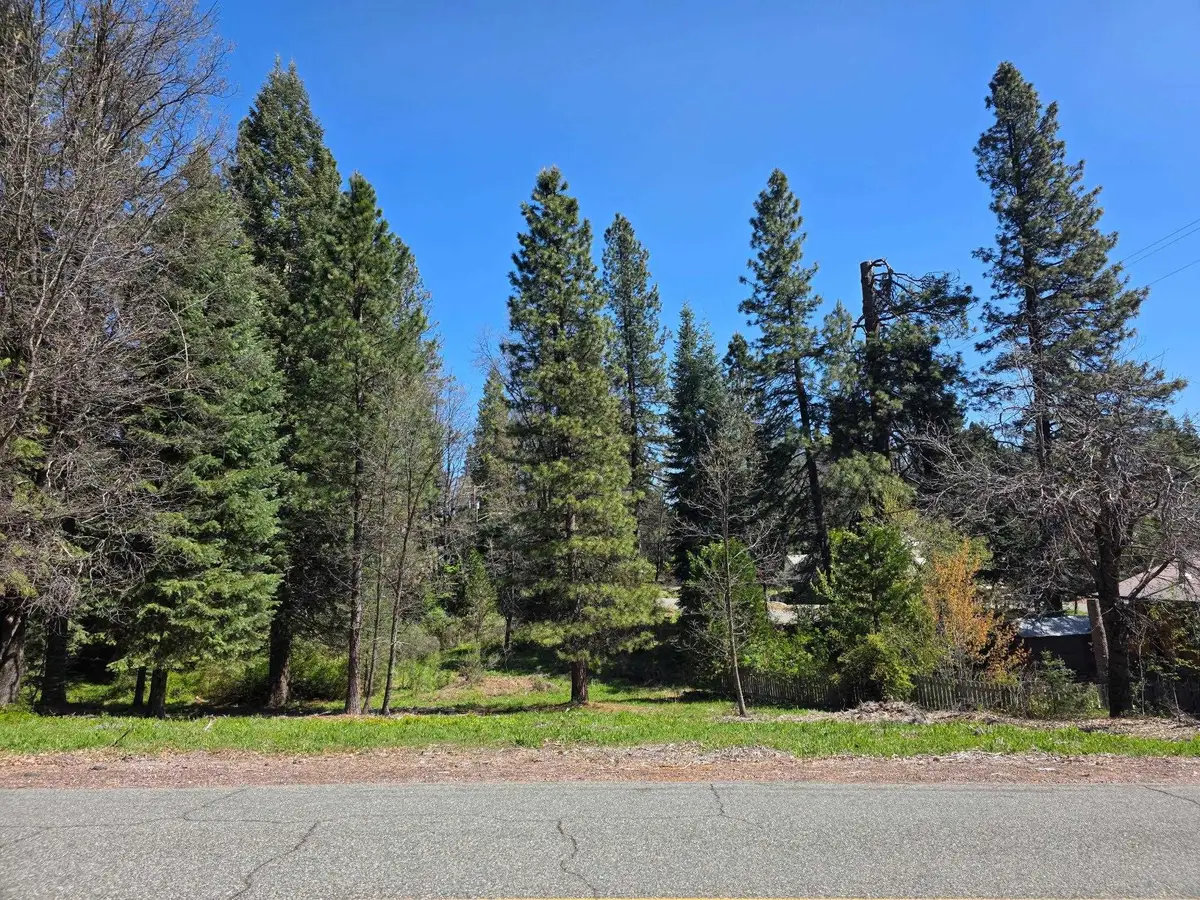 Lot W Colombero Dr, McCloud, CA 96057 - #1