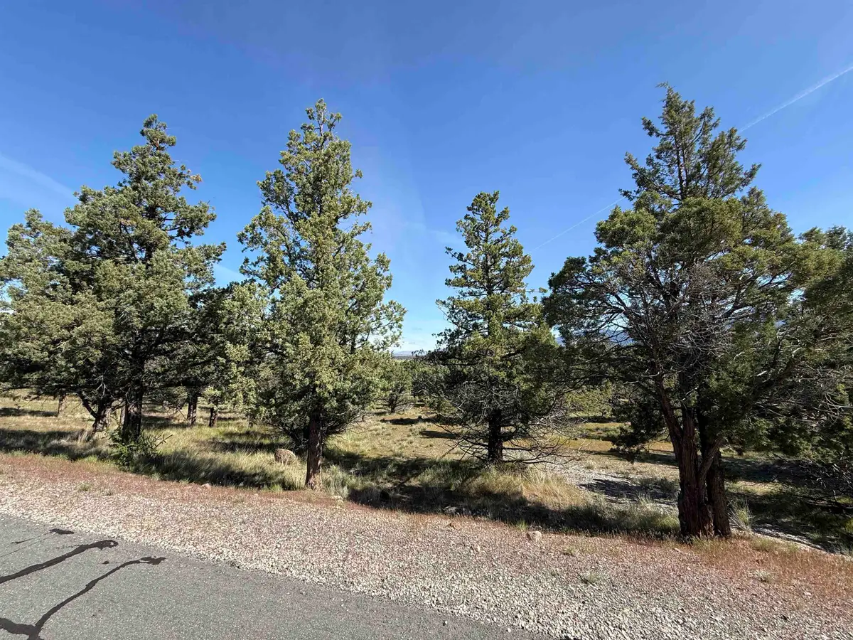 Lot 25 Palomino Road, Weed, CA 96094 - #1