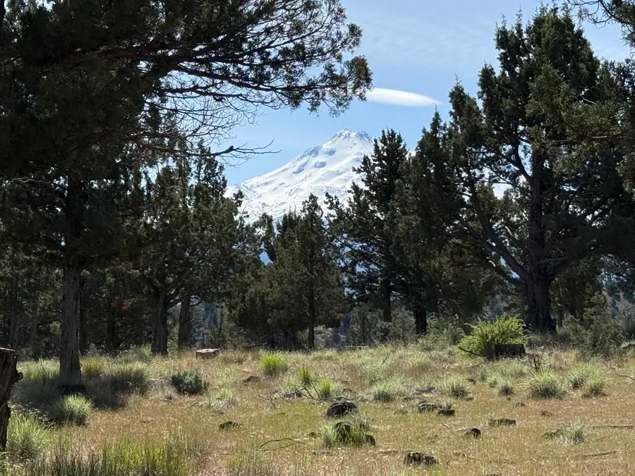 Lot 25 Palomino Road, Weed, CA 96094 - #2