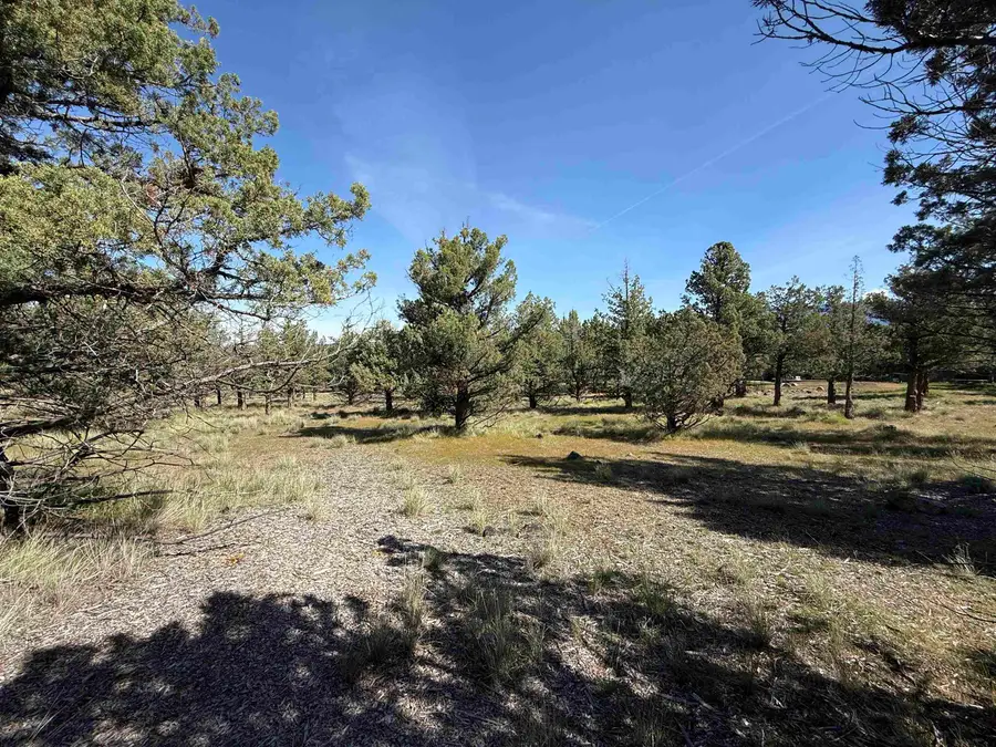 Lot 25 Palomino Road, Weed, CA 96094 - #3