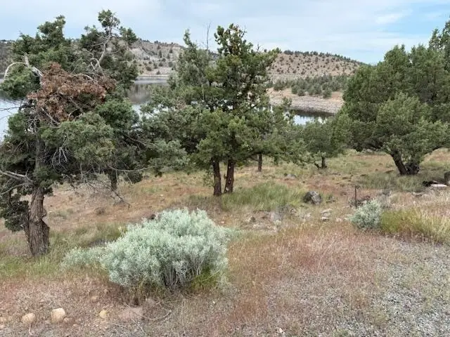 Unit 2 Lot 36 Lake Shastina, Lake Shore Dr., Weed, CA 96094 - #2