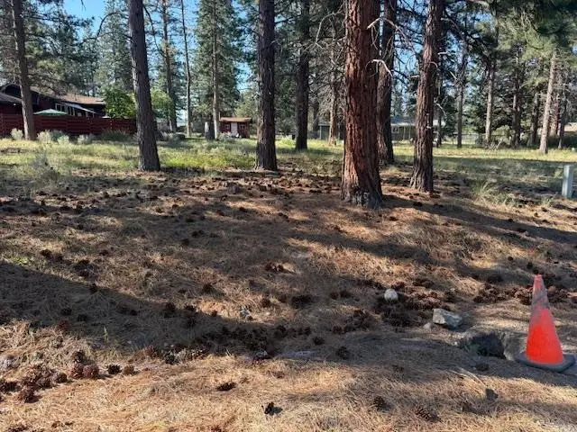 Unit 7-3 Lot225 Lake Shastina, Fisher Rd., Weed, CA 96094 - #1