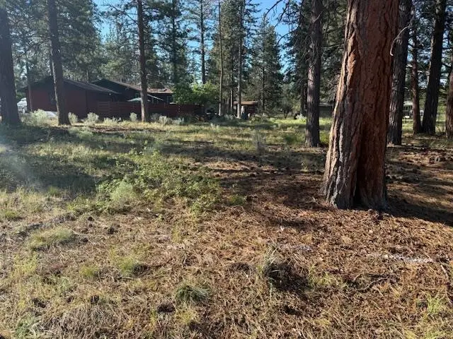 Unit 7-3 Lot225 Lake Shastina, Fisher Rd., Weed, CA 96094 - #2