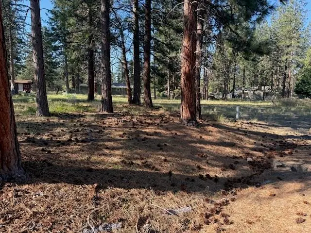 Unit 7-3 Lot225 Lake Shastina, Fisher Rd., Weed, CA 96094 - #3