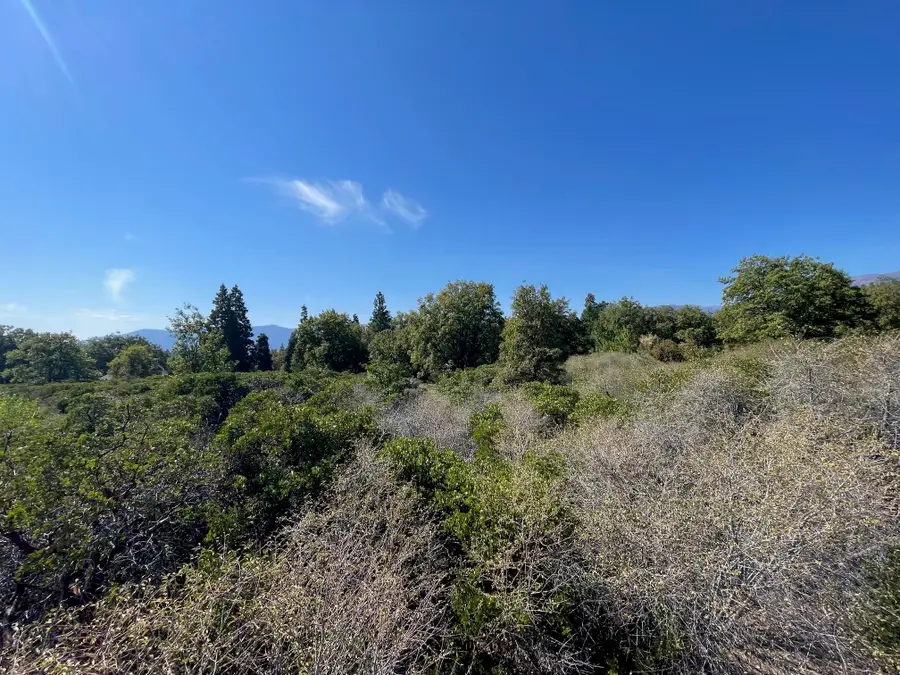 lot 15 Northridge, Mount Shasta, CA 96067 - #2