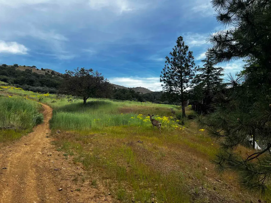 18 Acres Terrace Dr, Yreka, CA 96097 - #2