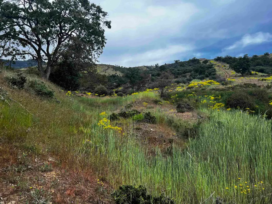 18 Acres Terrace Dr, Yreka, CA 96097 - #3