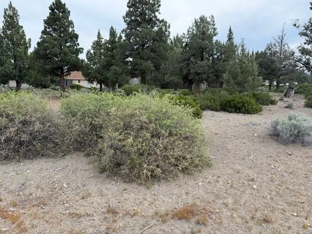 Unit 8-1 Lot 26 Lake Shastina, Rockwood Rd, Weed, CA 96094 - #1