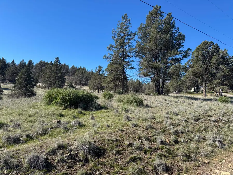 Unit 4 Lot 69 Whitepine, Montague, CA 96064 - #3