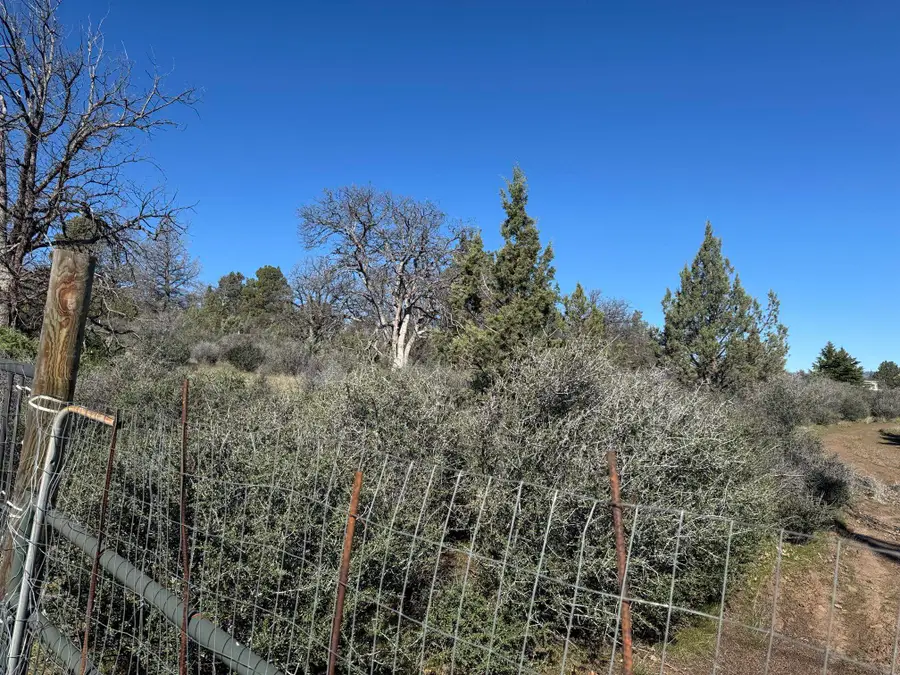 Unit 4 Lot 720 Whitepine St, Hornbrook, CA 96044 - #3
