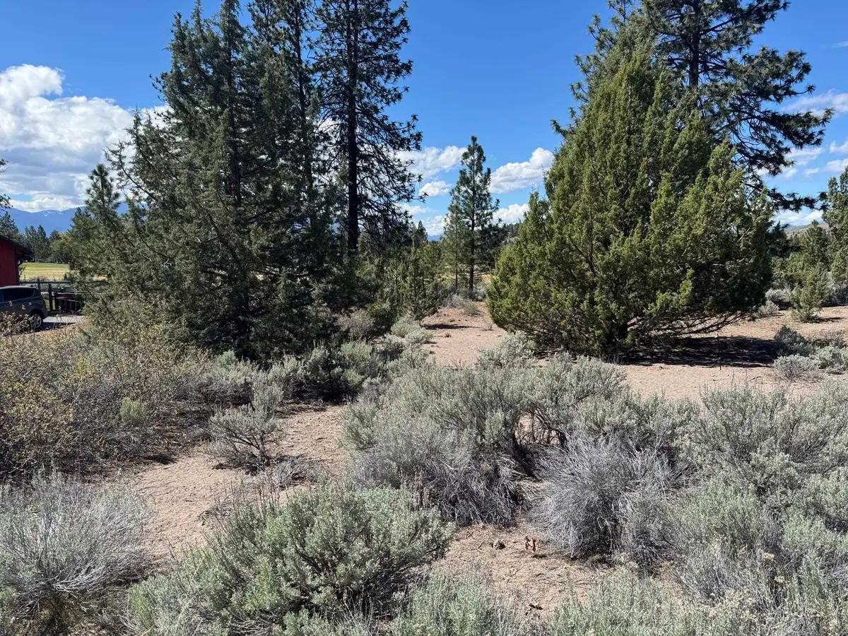 Unit 4 Lot 59 Tee Place, Weed, CA 96094 - #1