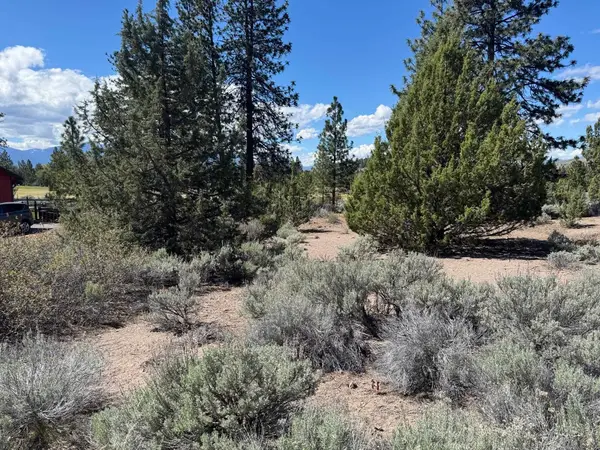 Unit 4 Lot 59 Tee Place, Weed, CA 96094