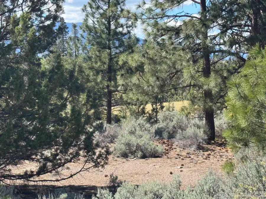 Unit 4 Lot 59 Tee Place, Weed, CA 96094 - #2