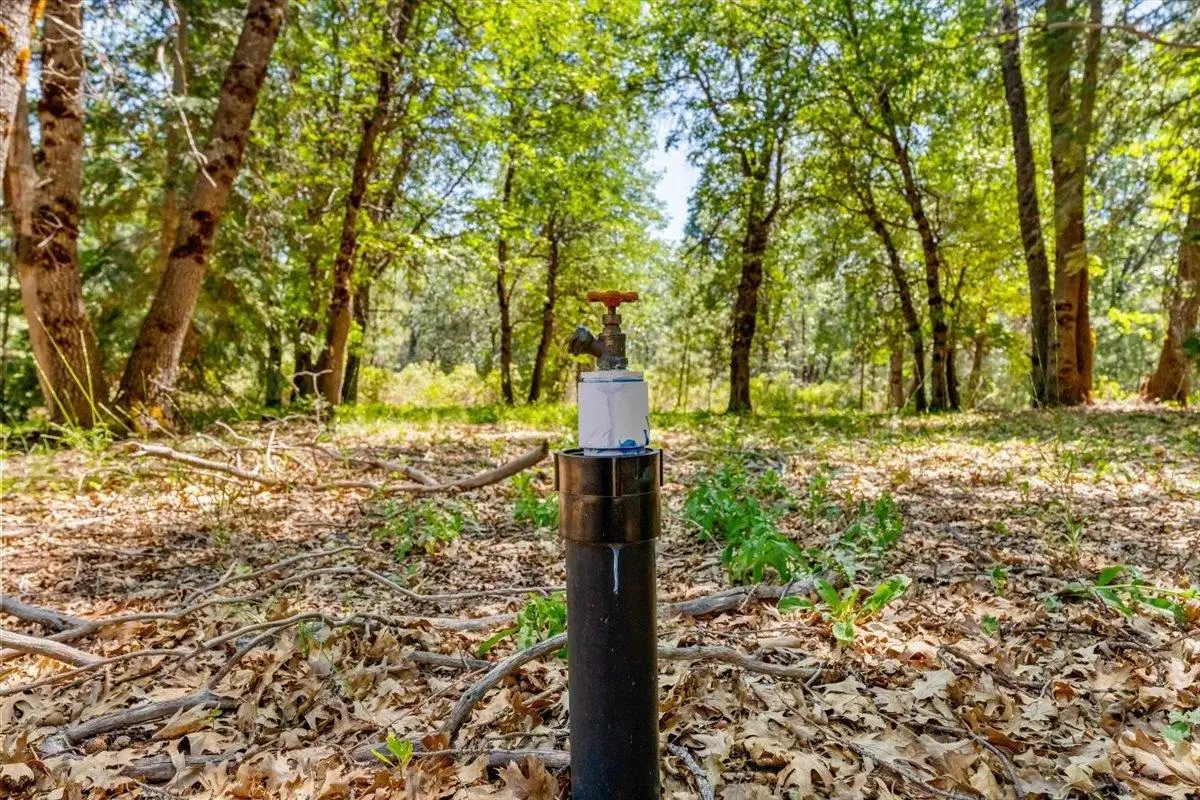 2-D-31 Snowline Dr., McCloud, CA 96057 - #1