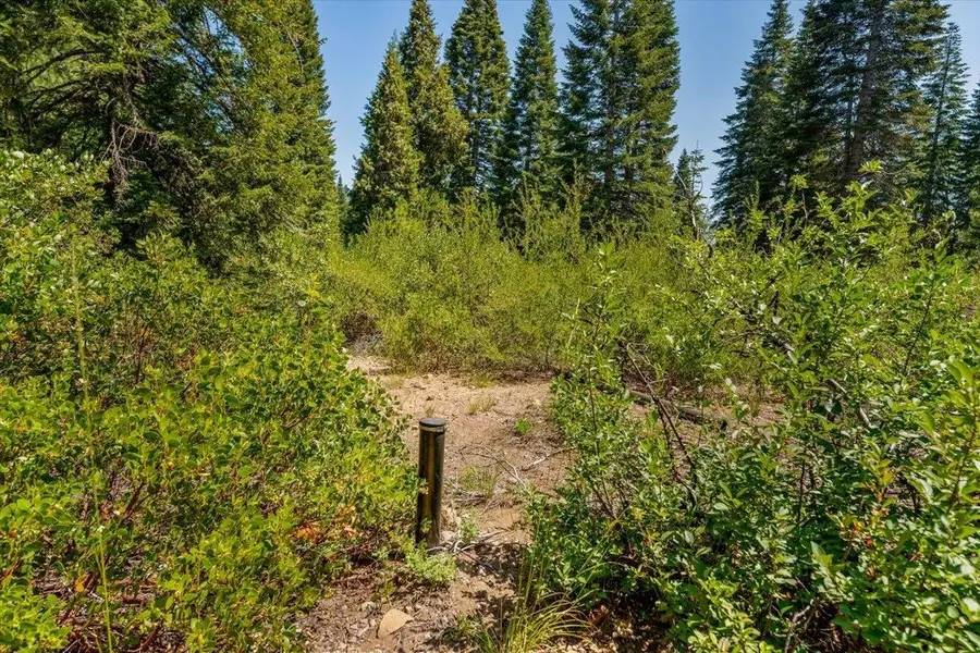 2-D-31 Snowline Dr., McCloud, CA 96057 - #2