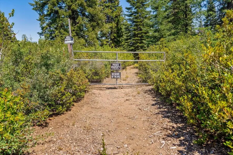 2-D-31 Snowline Dr., McCloud, CA 96057 - #3