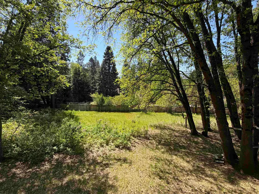 351 N Adams, Mount Shasta, CA 96067 - #3