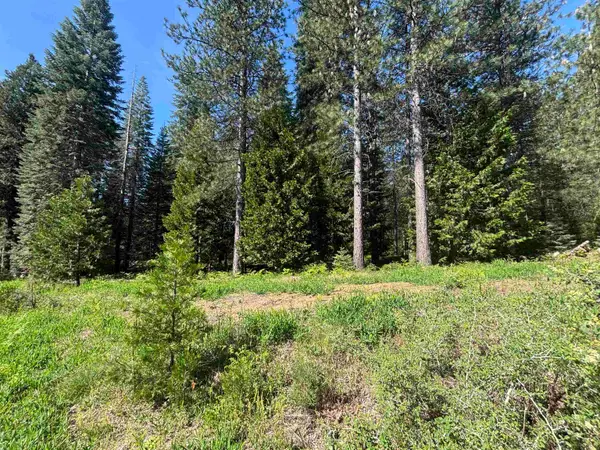 Lot 2 Old Mill Dr, McCloud, CA 96057