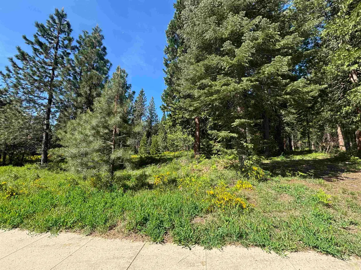 Lot 6 Old Mill Dr, McCloud, CA 96057 - #1