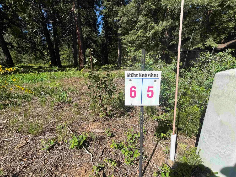 Lot 6 Old Mill Dr, McCloud, CA 96057 - #2