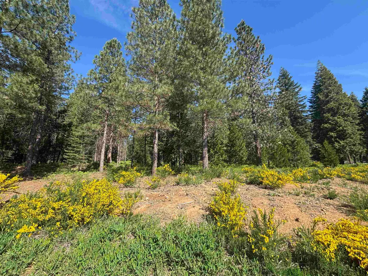 Lot 8 Old Mill Dr, McCloud, CA 96057 - #1