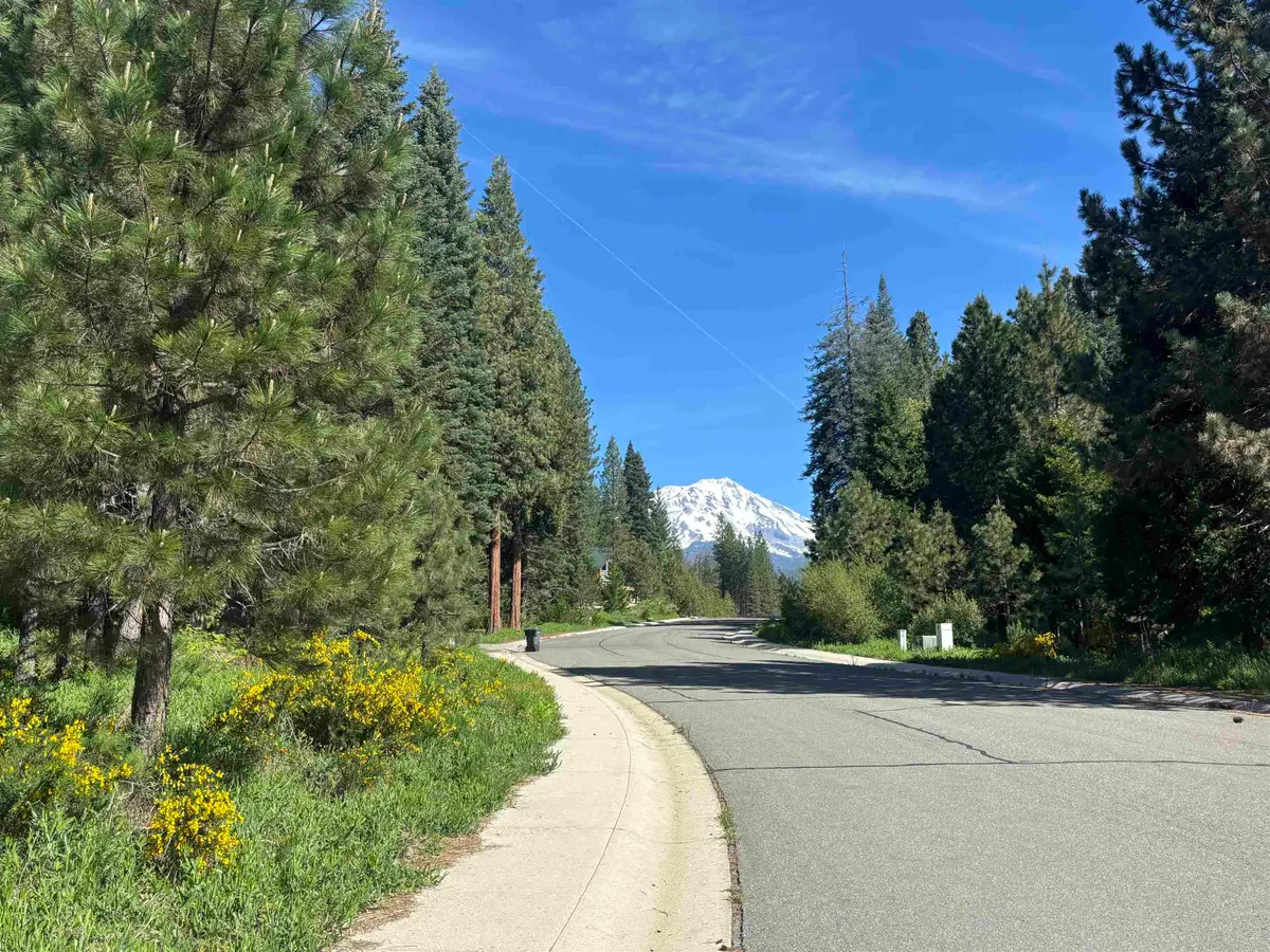 Lot 7 Old Mill Dr, McCloud, CA 96057 - #1