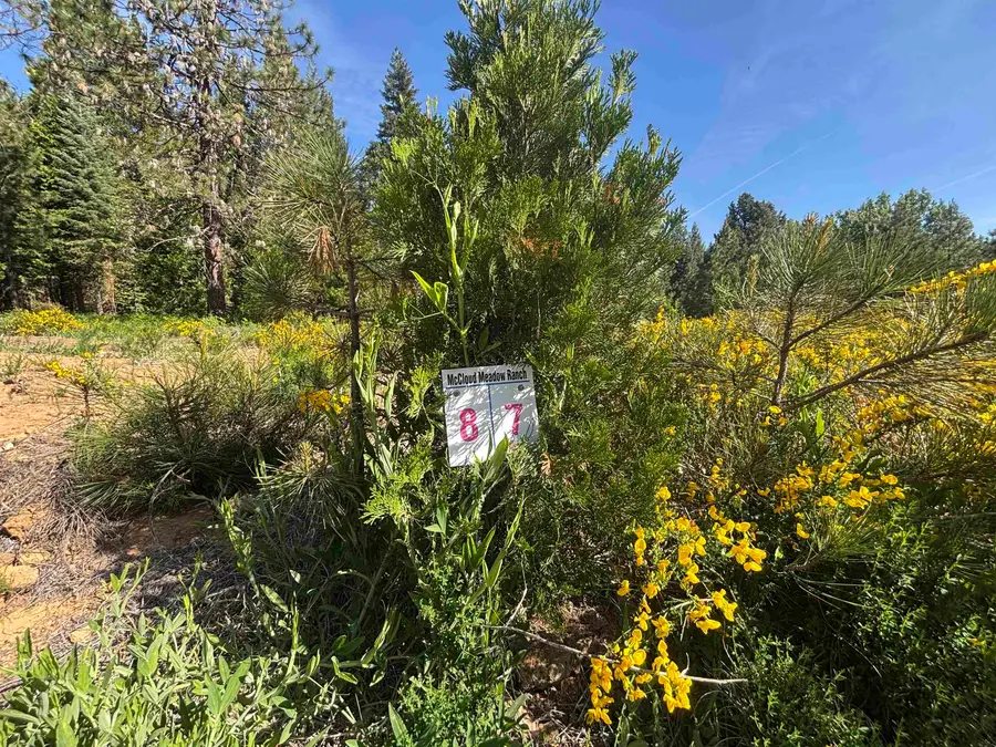Lot 7 Old Mill Dr, McCloud, CA 96057 - #2