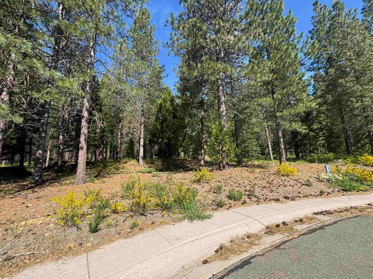 Lot 9 Old Mill Dr, McCloud, CA 96057 - #1