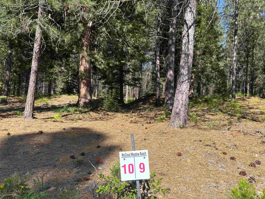 Lot 10 Old Mill Dr, McCloud, CA 96057 - #2