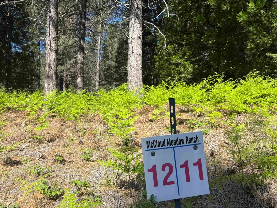 Lot 11 Old Mill Dr, McCloud, CA 96057 - #2