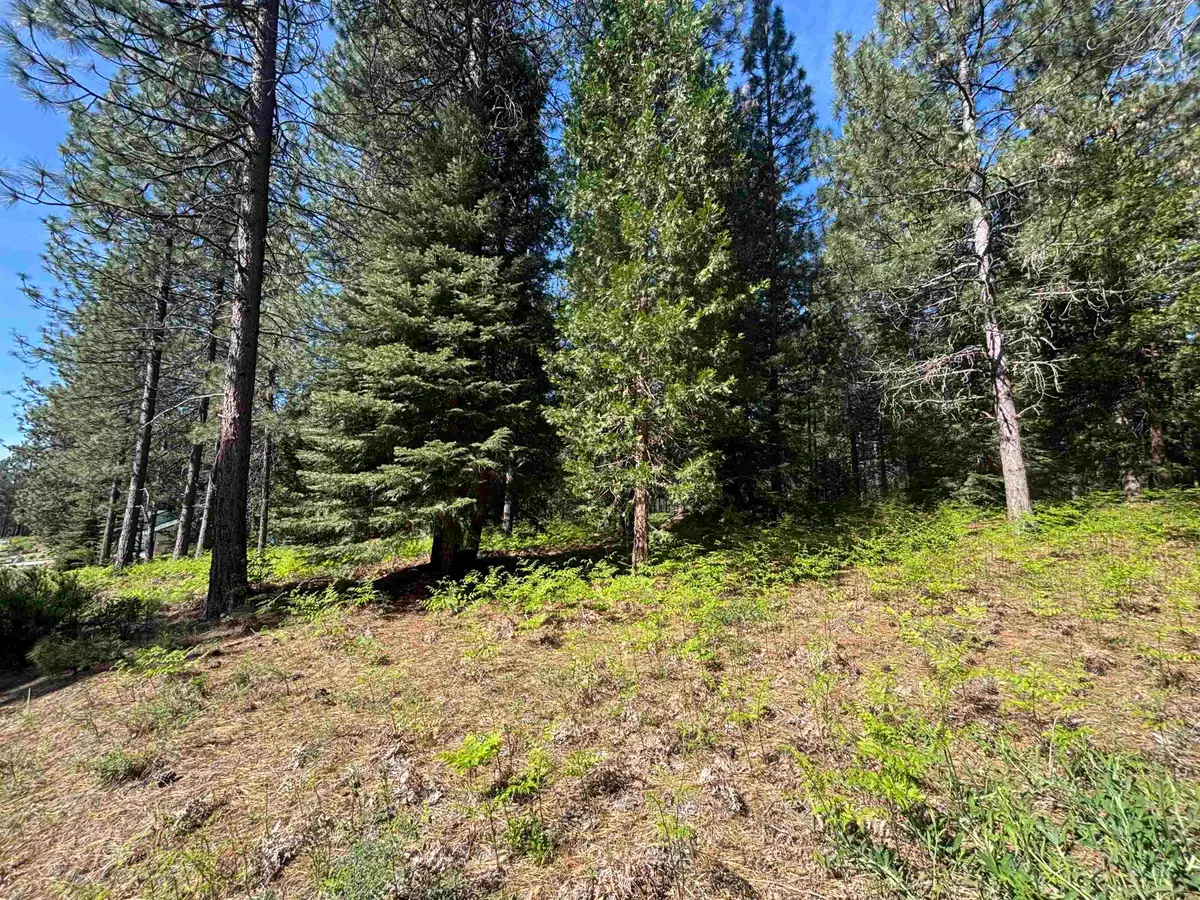 Lot 12 Old Mill Dr, McCloud, CA 96057 - #1