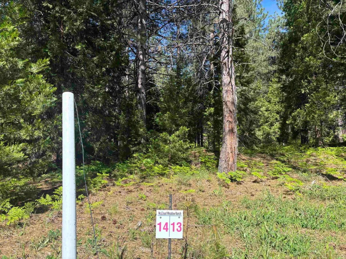 Lot 13 Old Mill Dr, McCloud, CA 96057 - #1