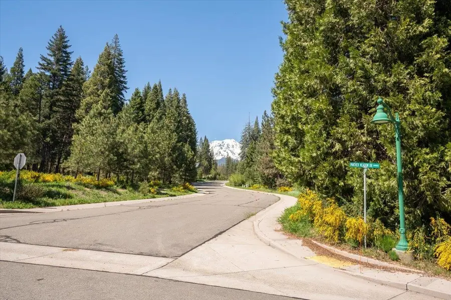 Lot 13 Old Mill Dr, McCloud, CA 96057 - #3