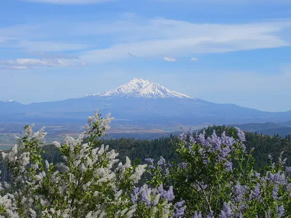 127 acres Road 45N28, Yreka, CA 96097