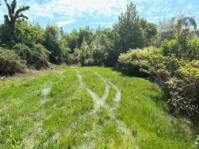 519 Birch St, Mount Shasta, CA 96067 - #2